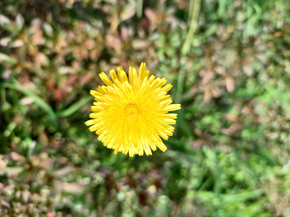 20251029_120108.jpg